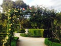 La Rosaleda Rose Garden in Retiro Park Madrid Royalty Free Stock Photo