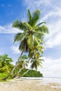 La Sagesse Bay, Grenada Royalty Free Stock Photo