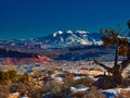 La Sal Tree from Fiery Furnace