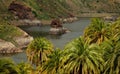 Dam and palm trees, Gran canaria Royalty Free Stock Photo