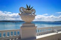 La Toja island Toxa beach flower pot in Pontevedra