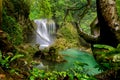 La Vaioaga Waterfall, Beusnita National Park