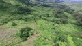 La Vallee des Couleurs Nature Park. Jungle and Forest in Mauritius. Beautiful Landscape and Nature in Background