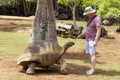 Man feeds a giant turtle in La Vanille Nature Park, island Mauritius , Close up