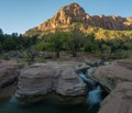 La Verkin Creek - Zion National Park