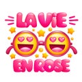 La vie en rose. Life in pink color phrase. Pink glasses with emoji faces