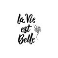 Translation from French: Life is beautiful. Vector illustration. Lettering. Ink illustration. La Vie est Belle