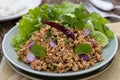 Laab gai or larb gai, spicy minced chicken breast salad, healthy food dish in Isan Thai food style