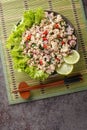 Laab gai or larb gai, spicy minced chicken breast salad, the healthy food served with fresh greens closeup on the plate. Vertical Royalty Free Stock Photo