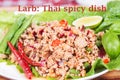 Laab. Thai Spicy minced meat salad