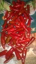 Laal mirch for pickle to injoy every day