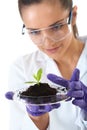 Lab assistant holds small flat dish with plant