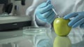 Lab assistant injecting apple with biomaterial to select new kinds in future