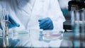 Lab assistant preparing microscope slides, disinfecting them before research Royalty Free Stock Photo