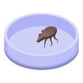 Lab bug icon isometric vector. Chemical control