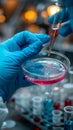 Lab exploration Scientist holds Petri dish in a modern laboratory