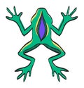 Lab frog icon in color drawing