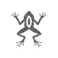 Grunge icon - Lab frog Royalty Free Stock Photo