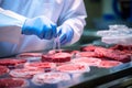 Lab grown meat concept - scientist checks on meat