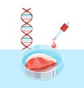 Lab grown meat image. Editable vector illustration