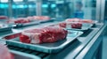 Labgrown meat production facility Royalty Free Stock Photo