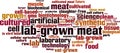 Lab-grown meat word cloud Royalty Free Stock Photo