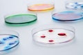 Lab petri dishes with various colorful liquids. Royalty Free Stock Photo