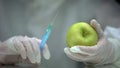 Lab researcher holding syringe and apple, gmo food production, experiment