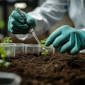 Lab tech tests soil pH level. Technician examines small plant. Testing determines plant health. Science lab setting. Possible