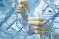 Lab technician conducts a DNA test . Royalty Free Stock Photo