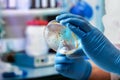 Lab technician holding a petri dish