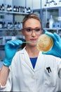 Lab technician inoculating plates petri dish for analysis of microorganisms in the microbiology laboratory