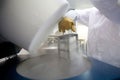 Lab technician with liquid nitrogen container