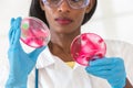 Lab technician workinh on research with petri dish Royalty Free Stock Photo