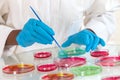 Lab technician workinh on research with petri dish Royalty Free Stock Photo