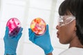 Lab technician workinh on research with petri dish Royalty Free Stock Photo