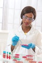 Lab technician workinh on research with petri dish Royalty Free Stock Photo