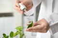 Lab worker dripping water into flask with leaf on blurred background, closeup Royalty Free Stock Photo