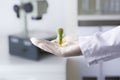 Lab worker holding bottle with cactus on blurred background, closeup Royalty Free Stock Photo