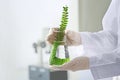 Lab worker holding flask with plant on blurred background, closeup Royalty Free Stock Photo