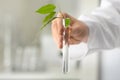 Lab worker holding test tube with plant on blurred background, closeup Royalty Free Stock Photo