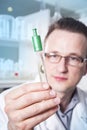 Lab worker observing test tube with mold at the laboratory Royalty Free Stock Photo
