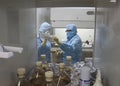 Lab workers in protective clothing, work on culture medium, Poland, 01.2013