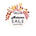 label, advertisement, sale, flyer about autumn seasonal autumn sale Royalty Free Stock Photo