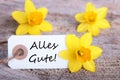 Label with Alles Gute Royalty Free Stock Photo