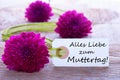 Label with Alles Liebe zum Muttertag Royalty Free Stock Photo