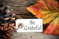 Label with Be Grateful Royalty Free Stock Photo
