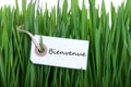 Label with Bienvenue