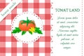 Label with big ripe tomato on chequered backdrop in retro country style for package or product design. vector red and white plaid