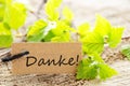 Label with danke! Royalty Free Stock Photo